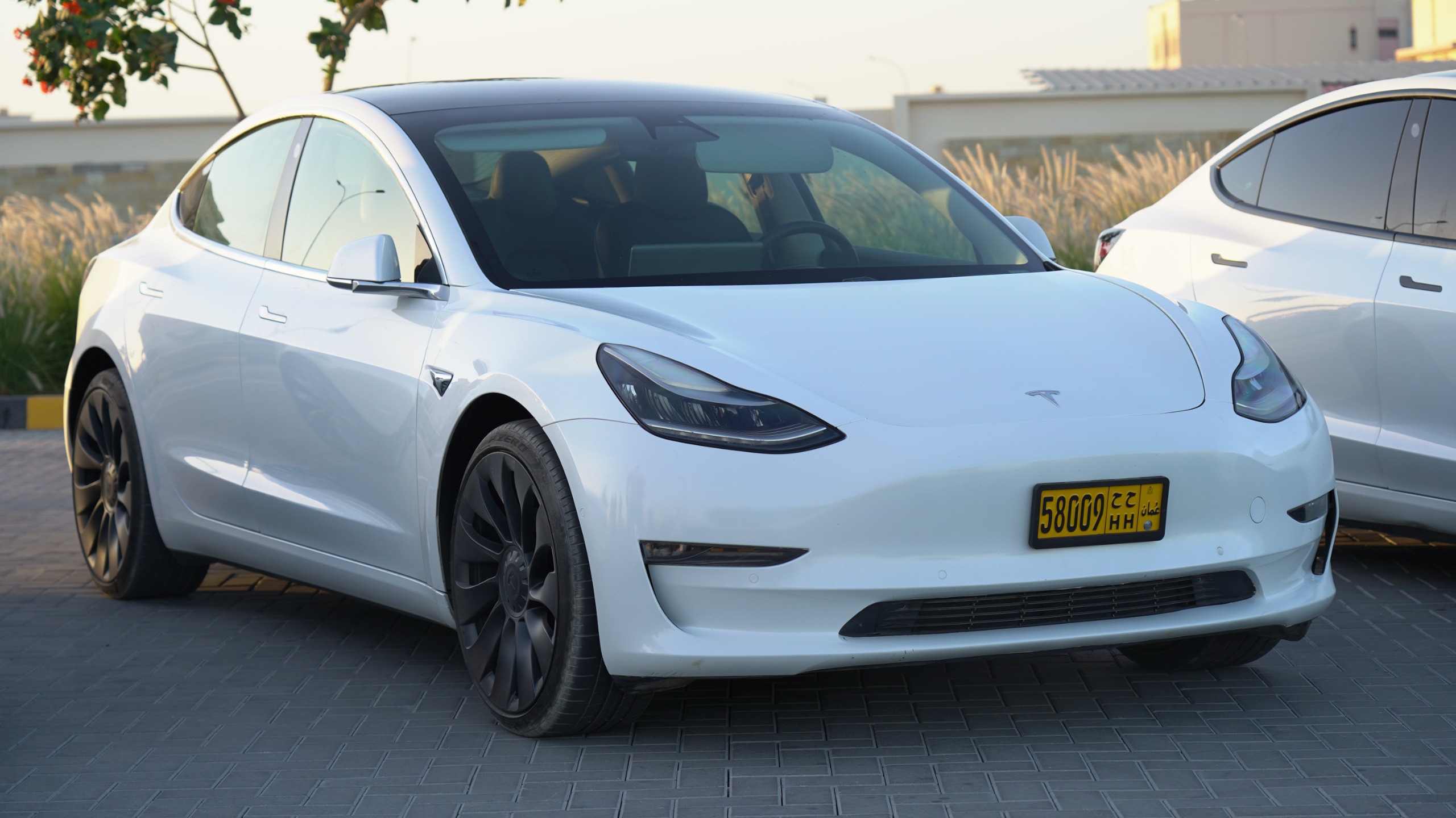 
								Tesla Model 3 2020 Long Range full									