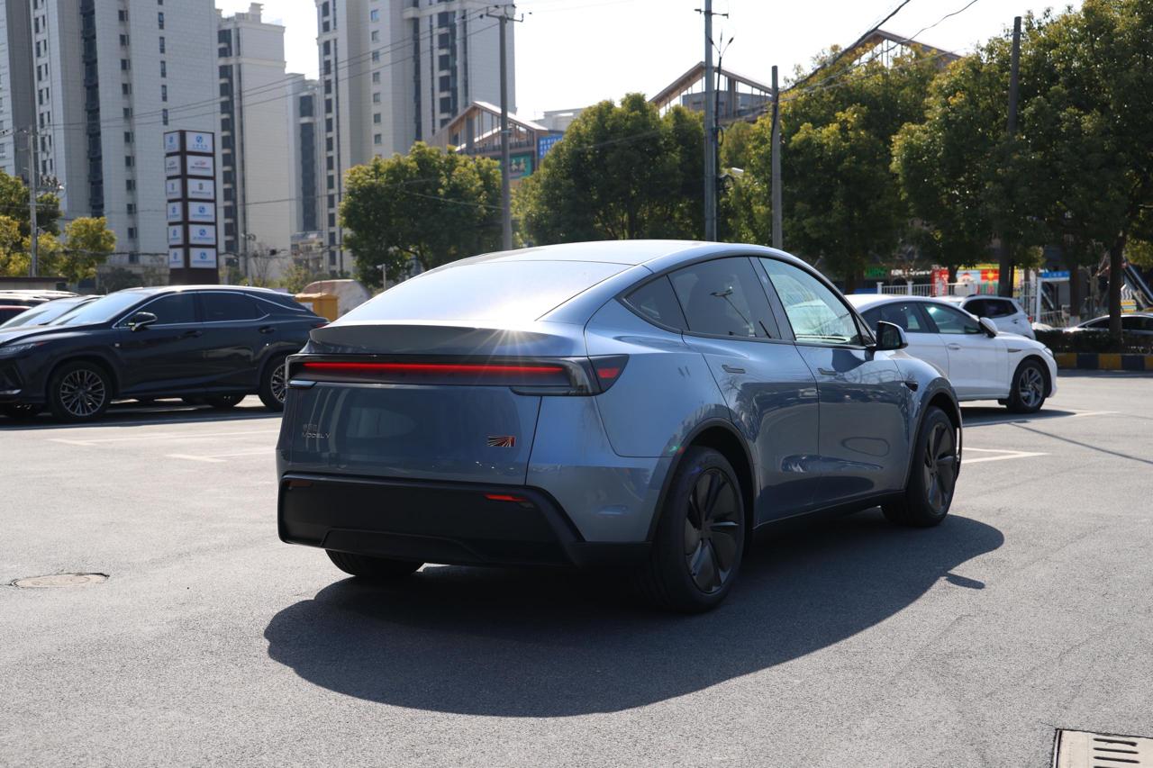 
								Tesla Model Y 2025 Standard Range plus full									